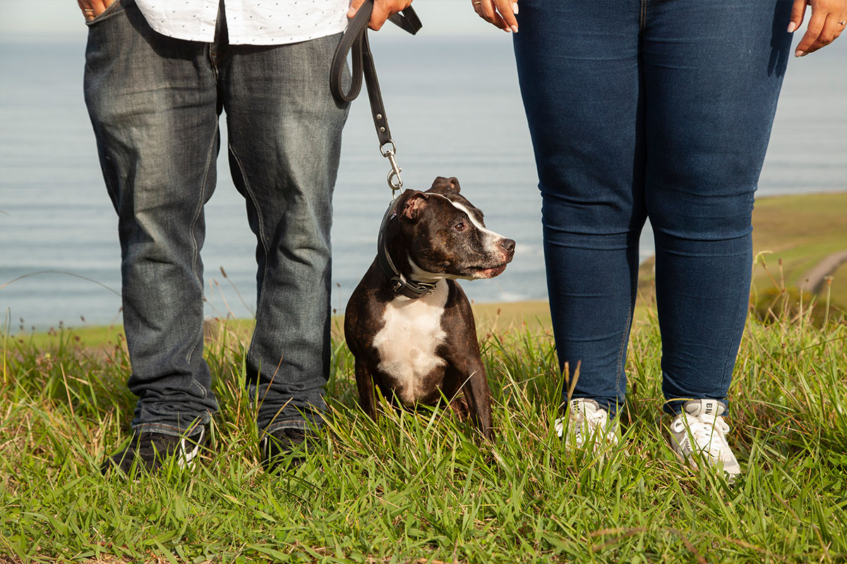 exteriores1 Sesiones exterior