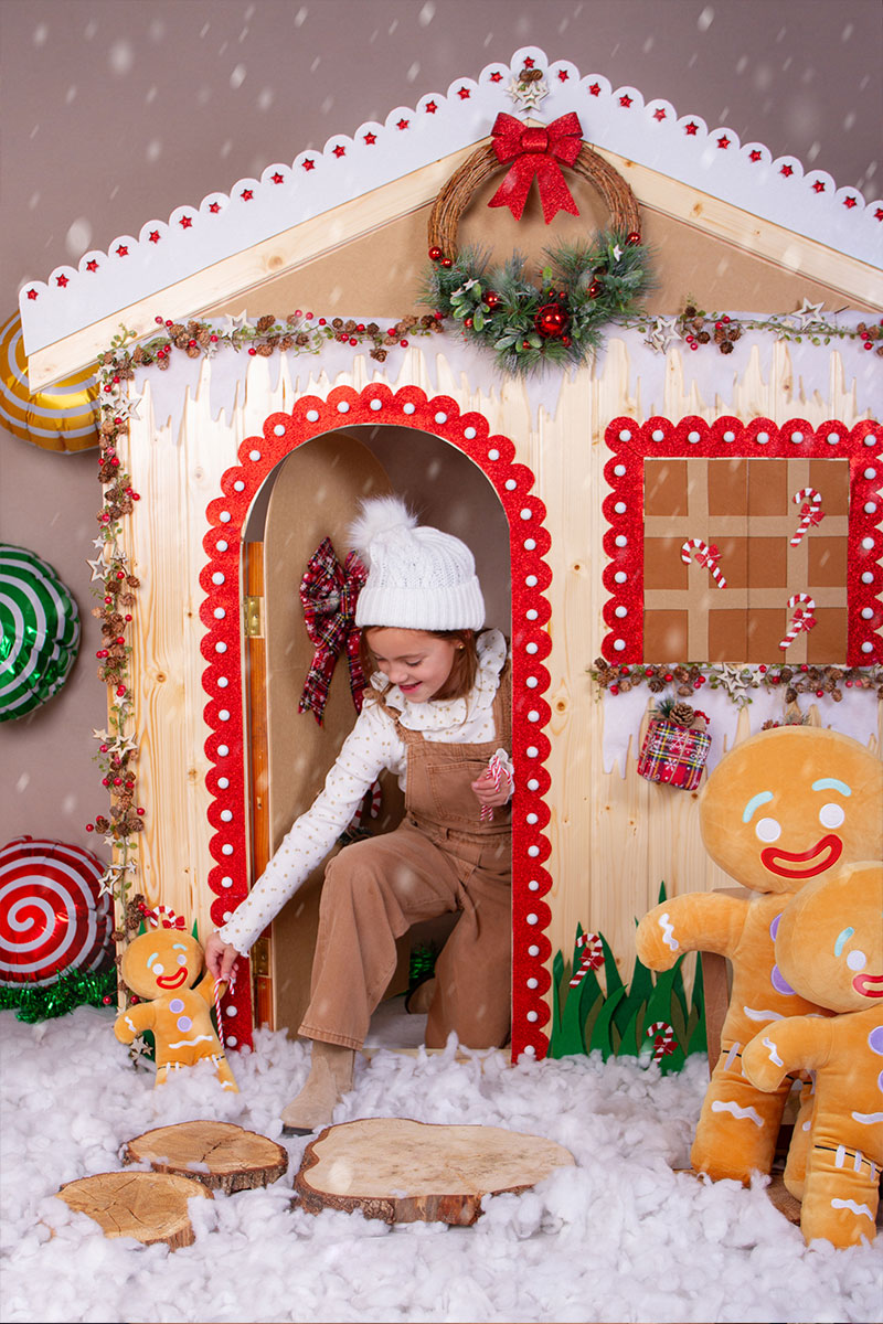 navidad24 Sesiones Navidad